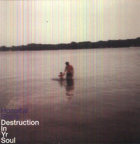 Destruction In Yr Soul { Vinyl } 【 VINYL 】