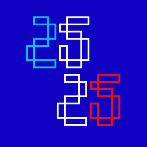 25 25 { Vinyl } 【 VINYL 】