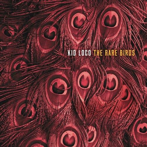 Rare Birds { Vinyl } 【 VINYL 】
