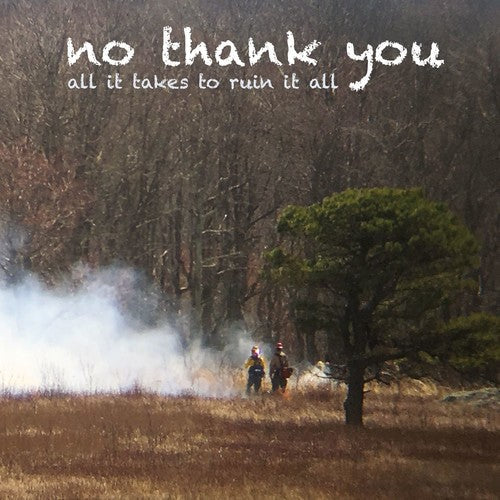 All It Takes to Ruin It All { Vinyl } 【 VINYL 】