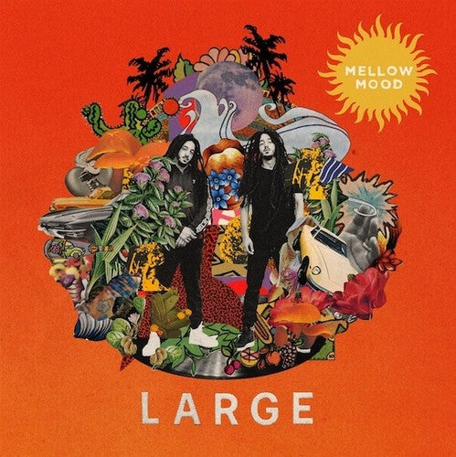 Large { Vinyl } 【 VINYL 】