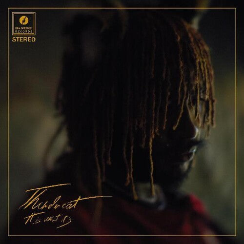 It Is What It Is { Vinyl } 【 VINYL 】