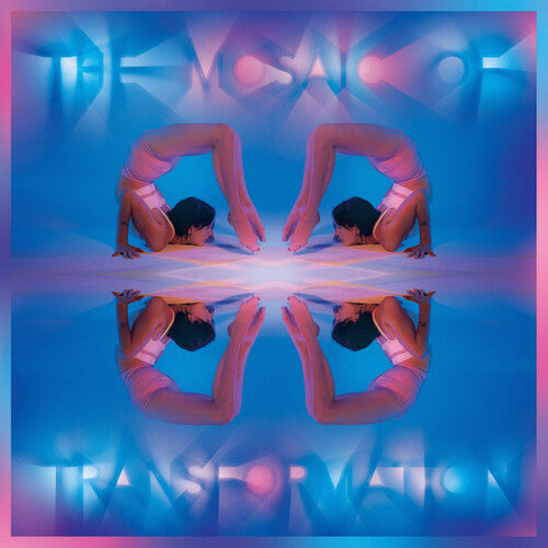 Mosaic of Transformation { Vinyl } 【 VINYL 】