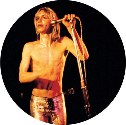 More Power - a Gorgeous Picture Disc Vinyl { Vinyl } 【 VINYL 】