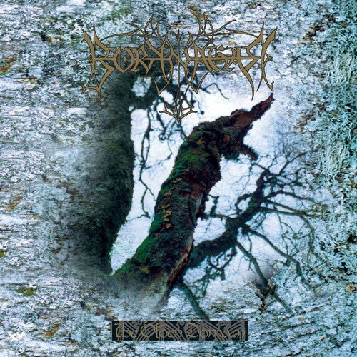 Borknager - Olden Domain (Vinyl) { Vinyl } 【 VINYL 】