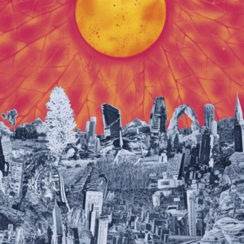 Mapmaker { Vinyl } 【 VINYL 】