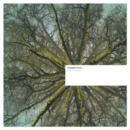 Fallen Arches { Vinyl } 【 VINYL 】