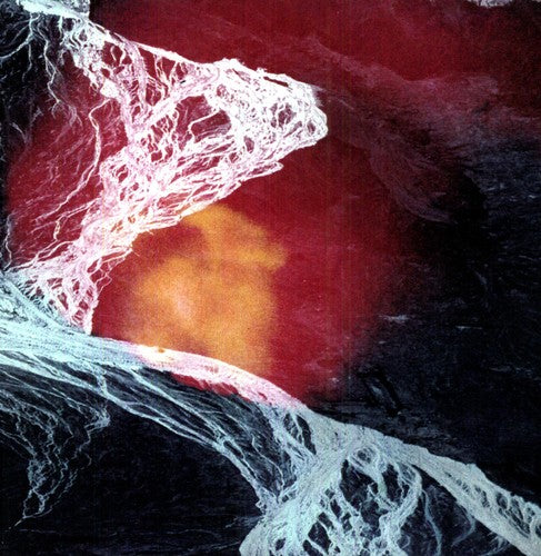 Light Science { Vinyl } 【 VINYL 】