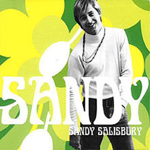 Sandy { Vinyl } 【 VINYL 】