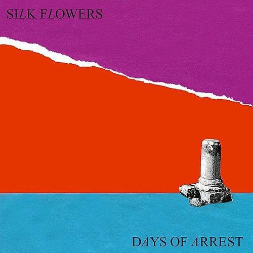 Days of Arrest { Vinyl } 【 VINYL 】
