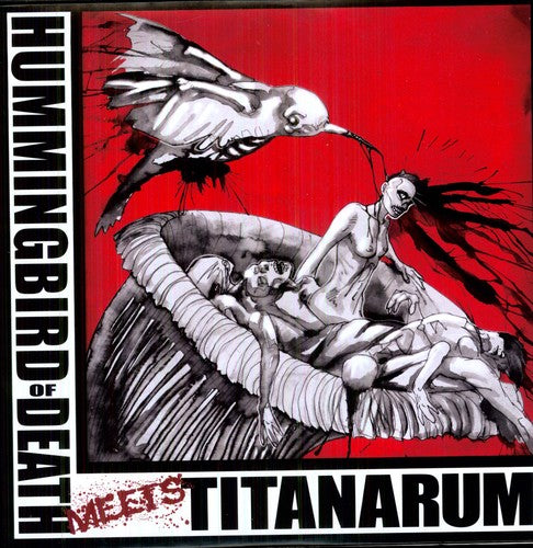 Hummingbird of Death / Titanarum { Vinyl } 【 VINYL 】