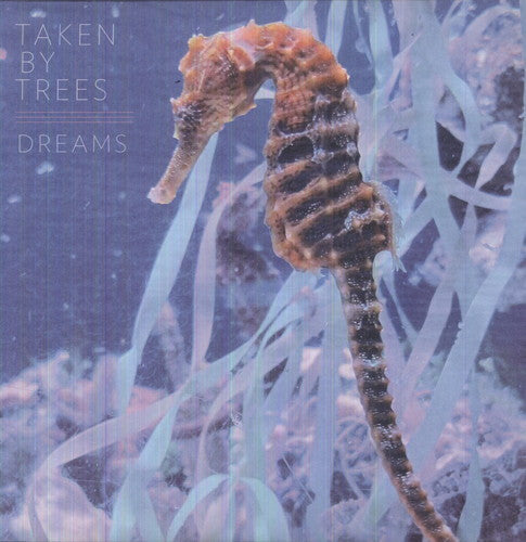 Dreams { Vinyl } 【 VINYL 】