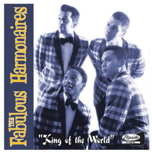 King of the World { Vinyl } 【 VINYL 】