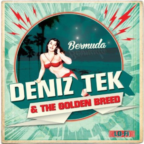 Bermuda { Vinyl } 【 VINYL 】