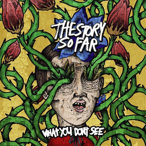 What You Don't See { Vinyl } 【 VINYL 】