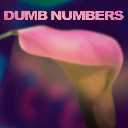 Dumb Numbers { Vinyl } 【 VINYL 】
