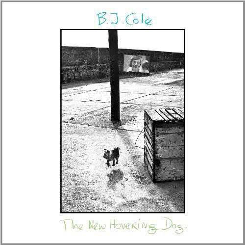 New Hovering Dog { Vinyl } 【 VINYL 】