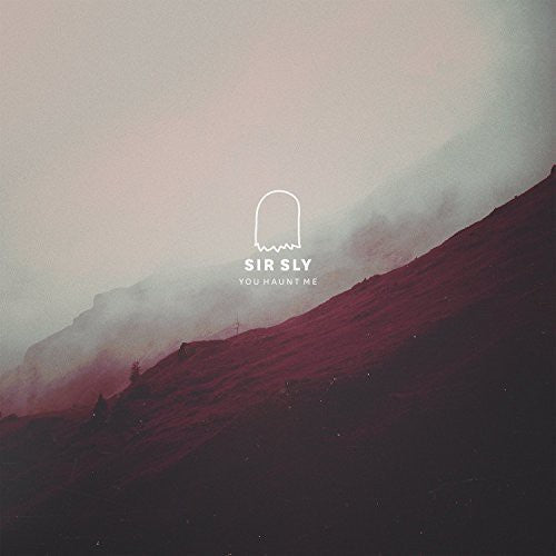 You Haunt Me { Vinyl } 【 VINYL 】