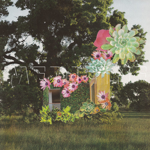 Home Everywhere { Vinyl } 【 VINYL 】