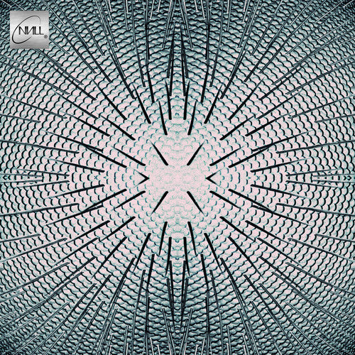 Almost { Vinyl } 【 VINYL 】