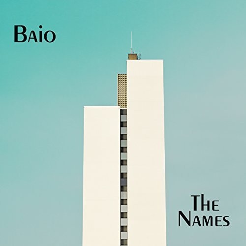 The Names { Vinyl } 【 VINYL 】