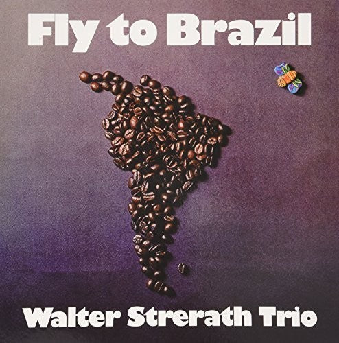 Fly to Brazil { Vinyl } 【 VINYL 】