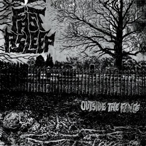 Outside the Fence { Vinyl } 【 VINYL 】