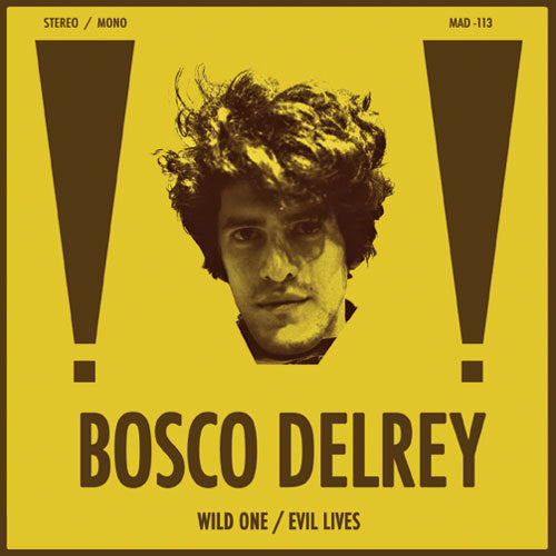 Wild One / Evil Lives { Vinyl } 【 VINYL 】