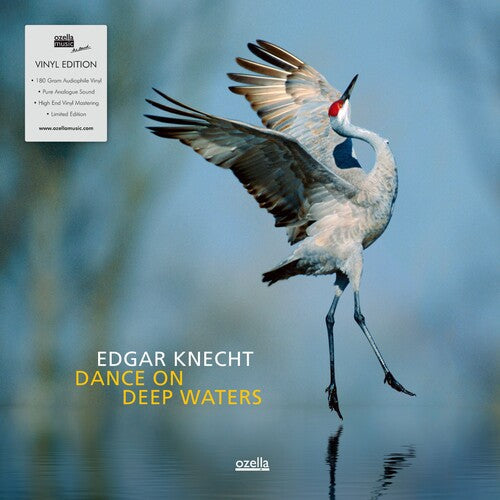 Knecht,edgarknecht,edgar { Vinyl } 【 VINYL 】