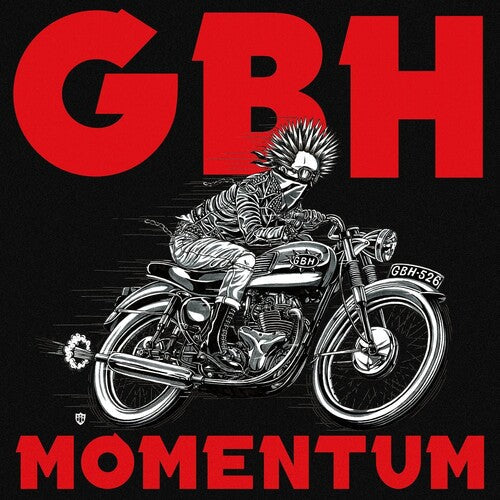 Momentum { Vinyl } 【 VINYL 】