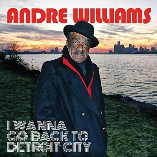 I Wanna Go Back to Detroit City { Vinyl } 【 VINYL 】