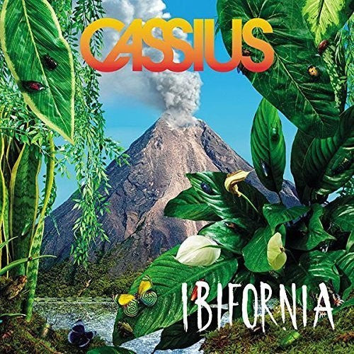 Ibifornia { Vinyl } 【 VINYL 】