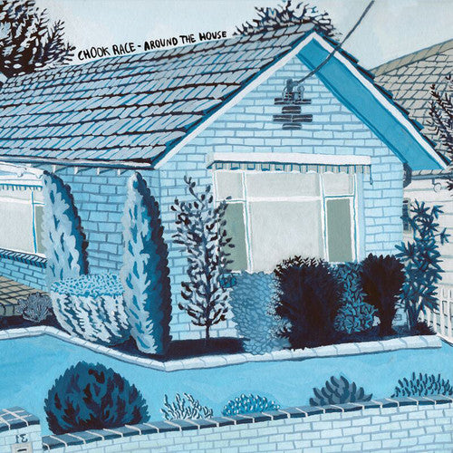 Around the House { Vinyl } 【 VINYL 】