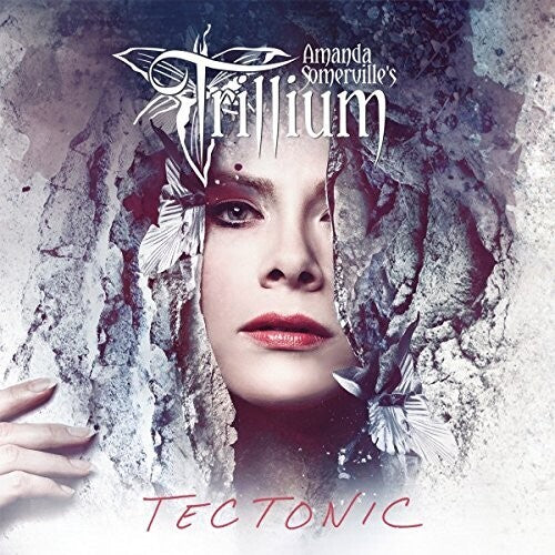 Tectonic { Vinyl } 【 VINYL 】