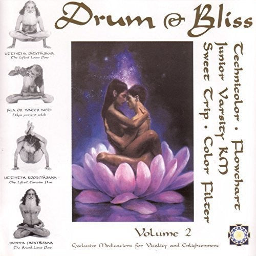 Drum & Bliss 2 / Various { Vinyl } 【 VINYL 】
