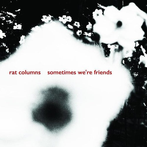 Sometimes We'Re Friends { Vinyl } 【 VINYL 】