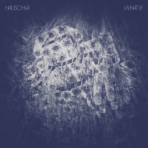What If { Vinyl } 【 VINYL 】