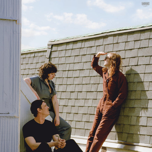 Fall Into the Sun { Vinyl } 【 VINYL 】