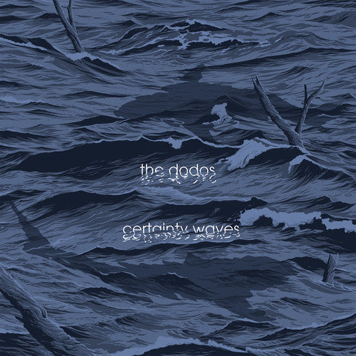Certainty Waves { Vinyl } 【 VINYL 】