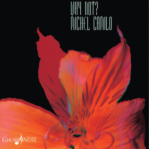 Why Not { Vinyl } 【 VINYL 】