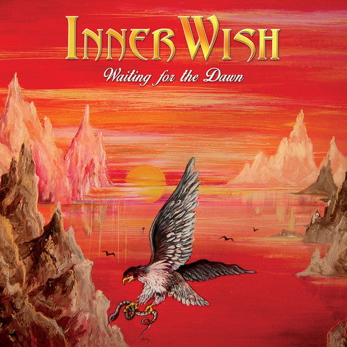 Waiting For the Dawn { Vinyl } 【 VINYL 】