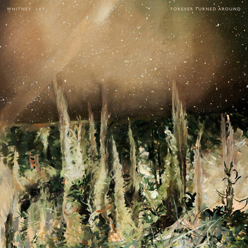 Forever Turned Around { Vinyl } 【 VINYL 】