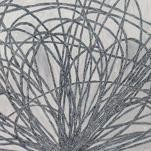Hausi { Vinyl } 【 VINYL 】