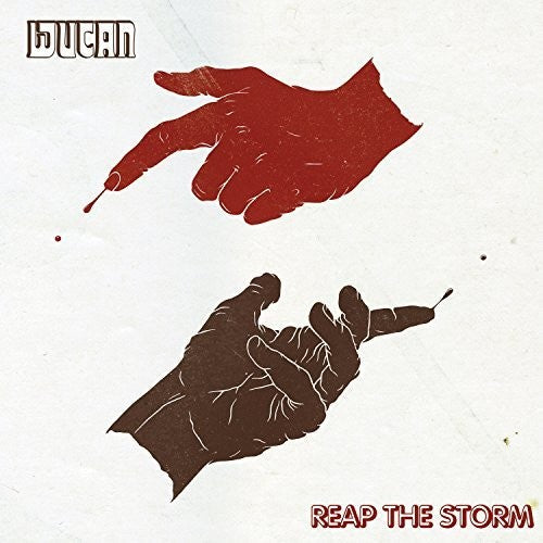 Reap the Storm { Vinyl } 【 VINYL 】