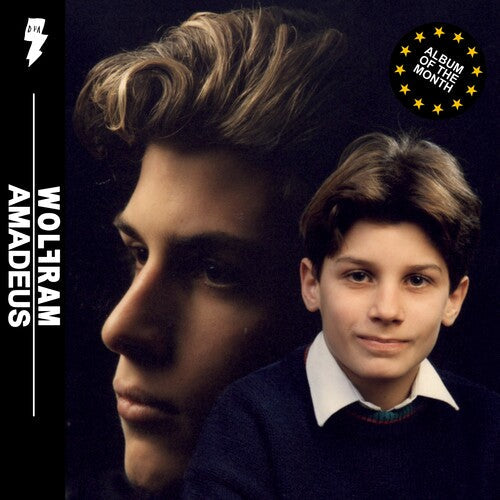 Amadeus { Vinyl } 【 VINYL 】