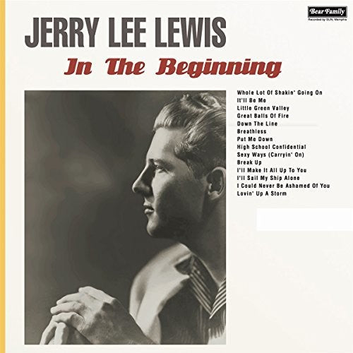 In the Beginning { Vinyl } 【 VINYL 】