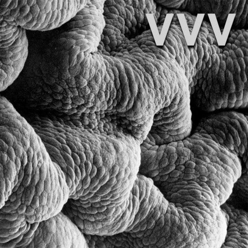 Shadow World { Vinyl } 【 VINYL 】