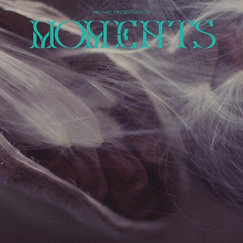 Moments { Vinyl } 【 VINYL 】