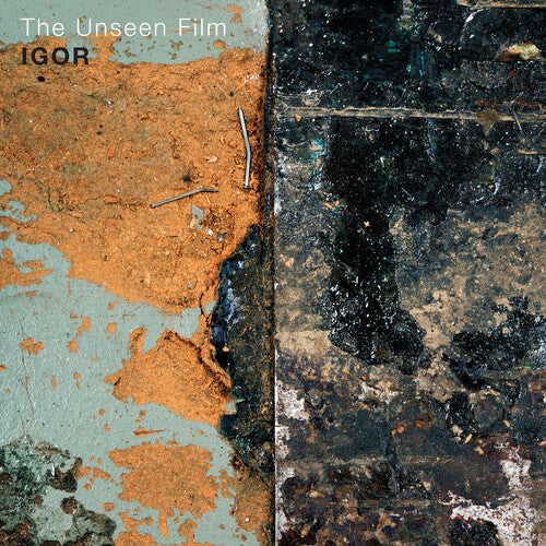 Unseen Film { Vinyl } 【 VINYL 】