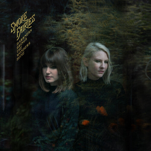 Darkness Brings the Wonders Home { Vinyl } 【 VINYL 】